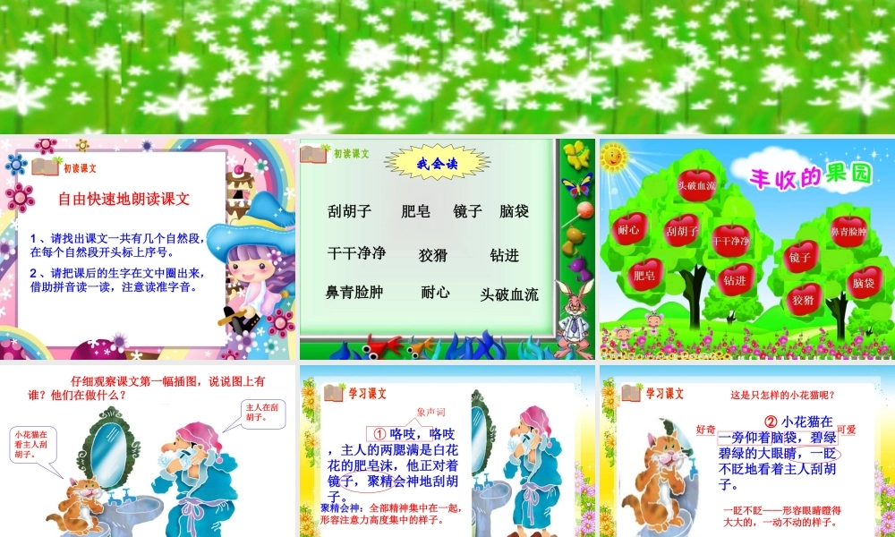 小猫刮胡子(1)