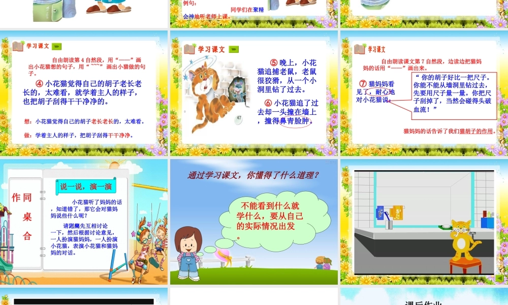 小猫刮胡子(1)