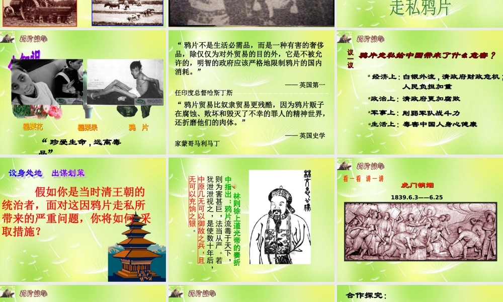 中学八年级历史上册 第1课 鸦片战争课件 新人教版 课件
