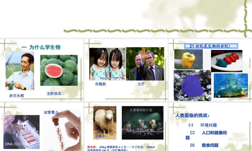 高中生物第一课