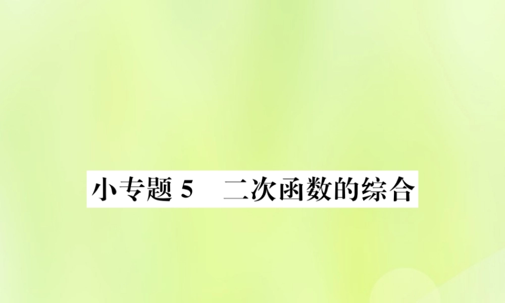 九年级数学上册 第二十二章 二次函数 小专题5 二次函数的综合课件 (新版)新人教版 课件
