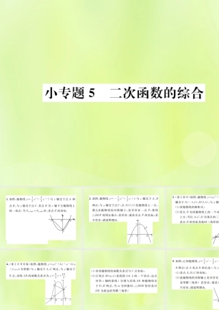 九年级数学上册 第二十二章 二次函数 小专题5 二次函数的综合课件 (新版)新人教版 课件