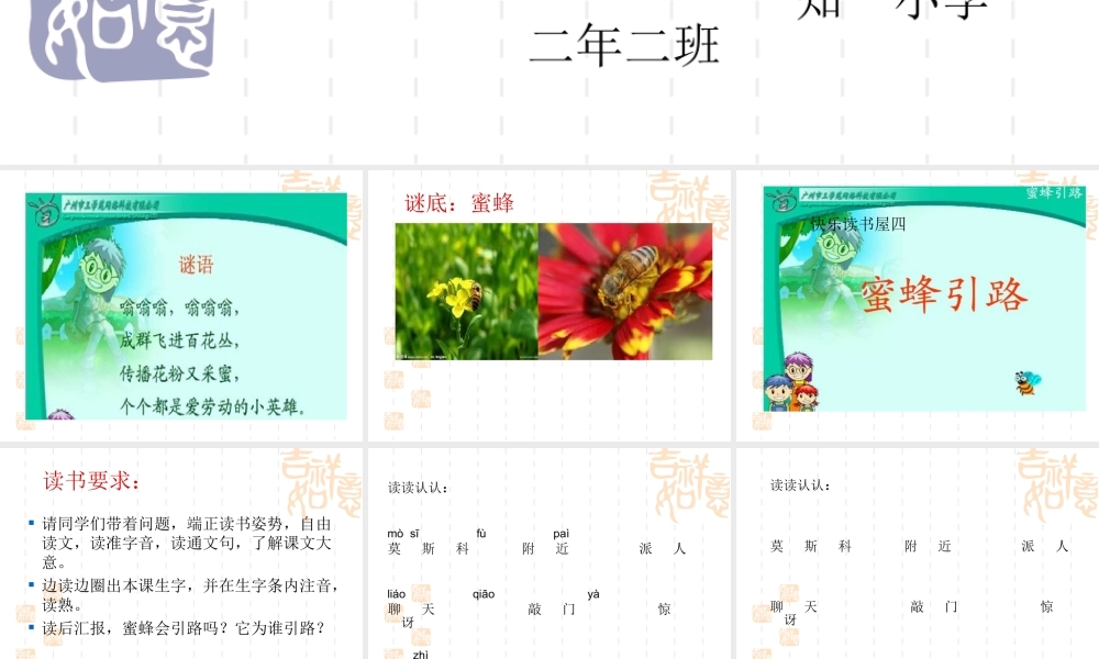 蜜蜂引路 (4)