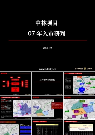 2007上海中林项目入市研判