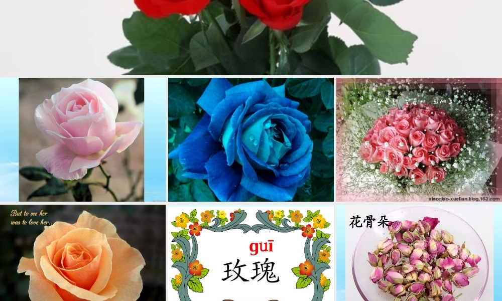 《小鹿的玫瑰花》课件精华版