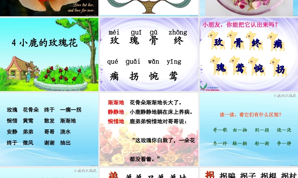 《小鹿的玫瑰花》课件精华版