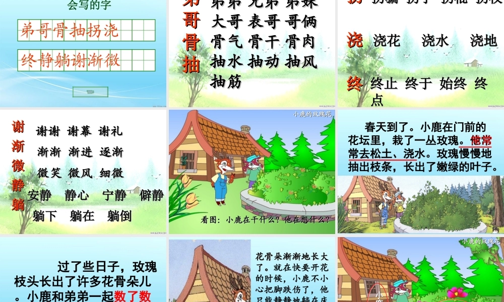 《小鹿的玫瑰花》课件精华版