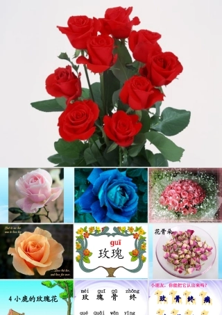 《小鹿的玫瑰花》课件精华版