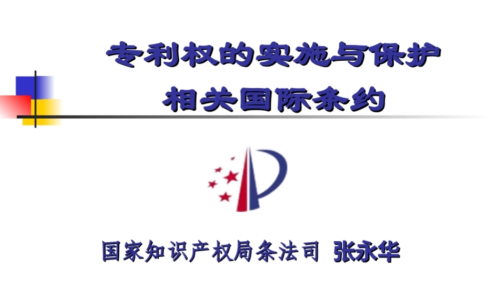 《专利权的实施及保护及相关国际条约》
