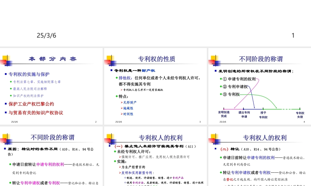 《专利权的实施及保护及相关国际条约》