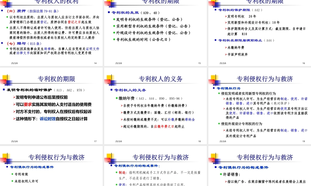 《专利权的实施及保护及相关国际条约》