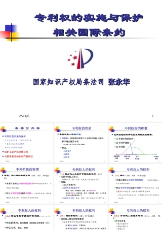 《专利权的实施及保护及相关国际条约》