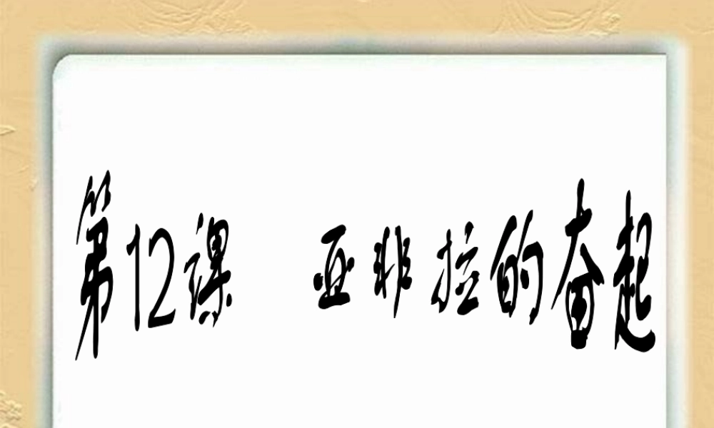 九年级历史亚非拉的奋起课件