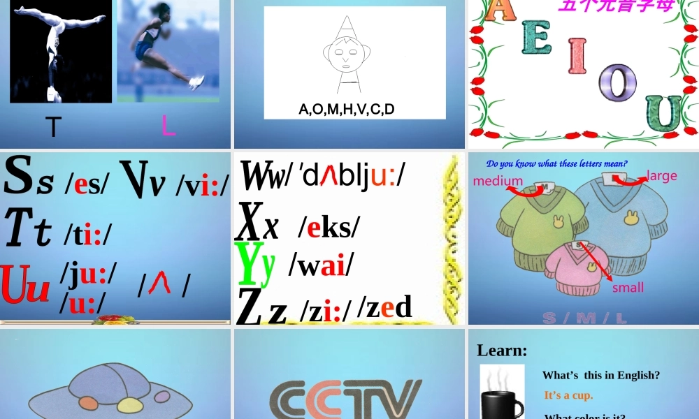 七年级英语上册 Starter Unit 3 What color is it(第2课时)课件 (新版)人教新目标版 课件