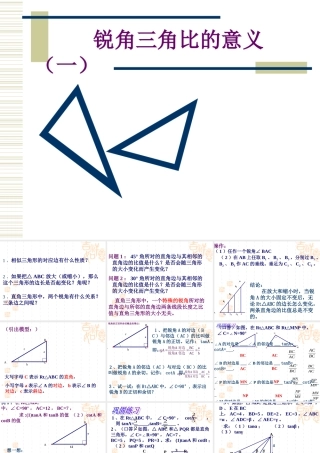 25.1锐角的三角比的意义