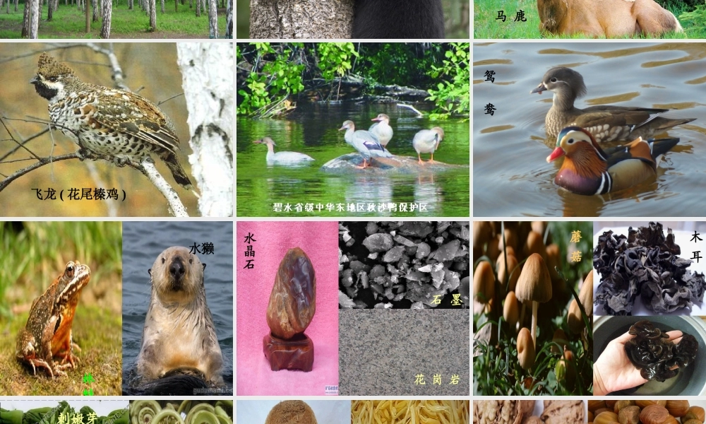 《家乡的物产多又多》PPT课件