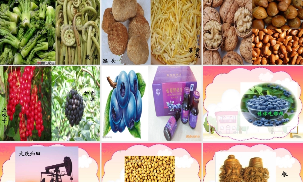 《家乡的物产多又多》PPT课件