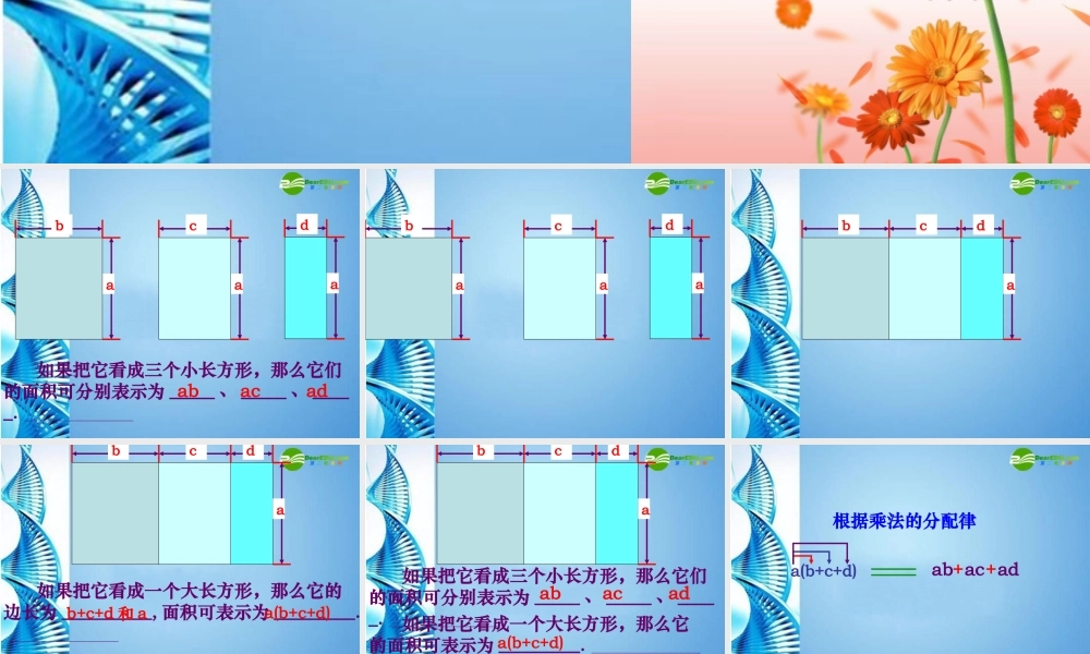 七年级数学下册 8.2整式乘法课件 沪科版 课件