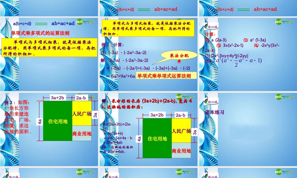 七年级数学下册 8.2整式乘法课件 沪科版 课件