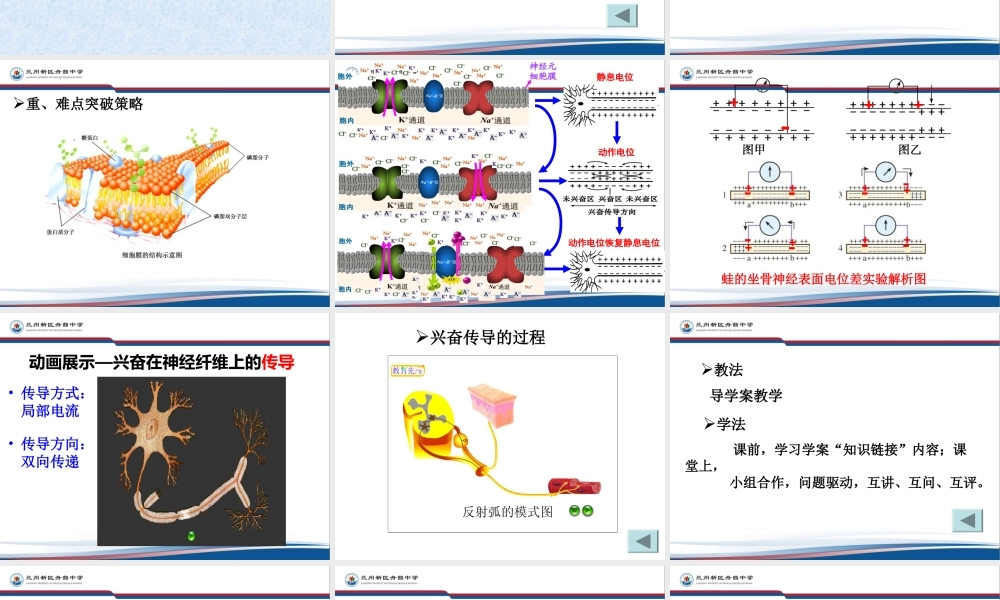 通过神经系统的调节说课