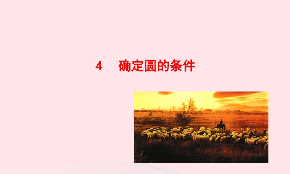 九年级数学下册 第三章圆 4确定圆的条件课件 北师大版 课件