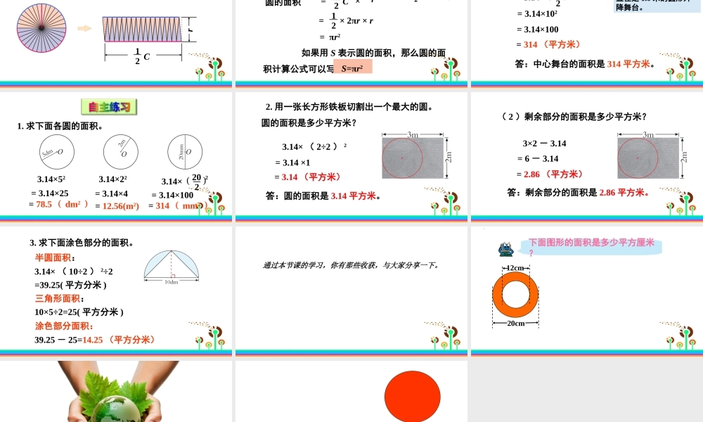 信息窗三(圆的面积)-(2)