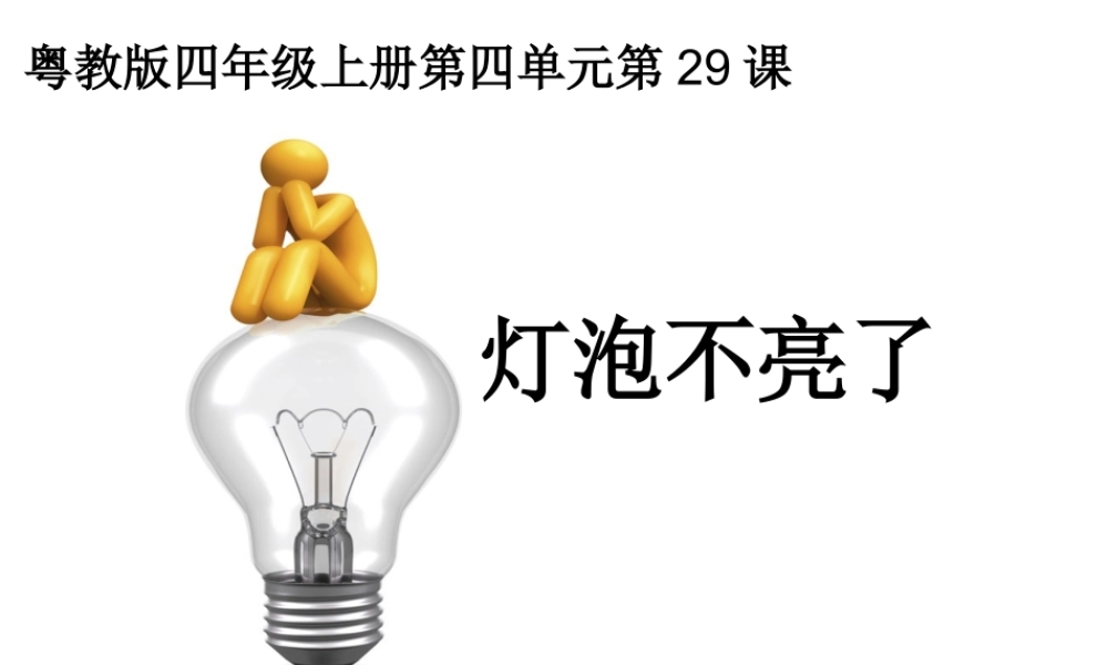 29.灯泡不亮了