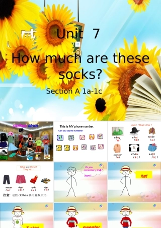 How-much-are-these-socks-公开课课件