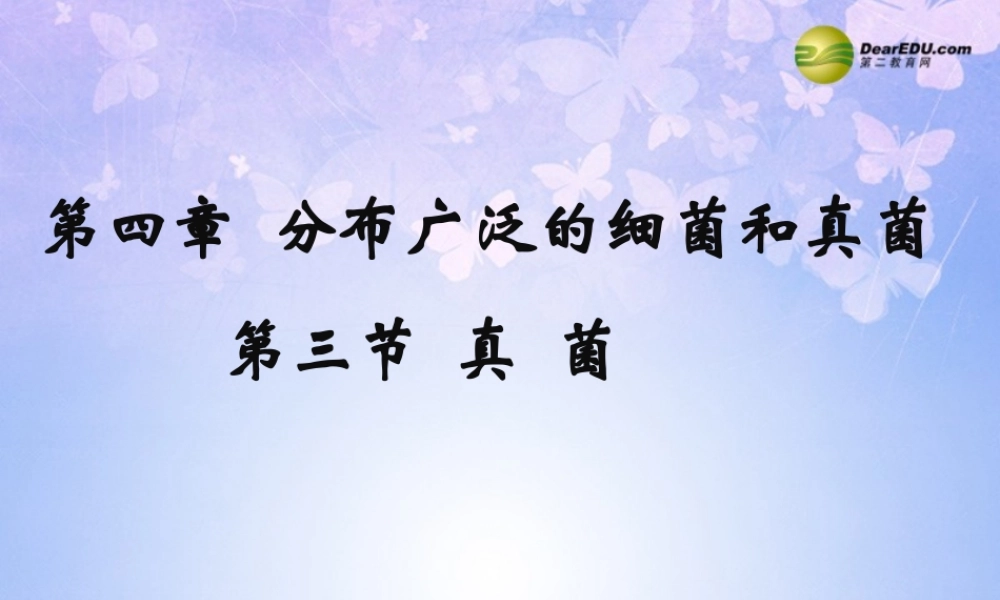 八年级生物上册 第五单元 第四章 第三节 真菌课件2 新人教版 课件
