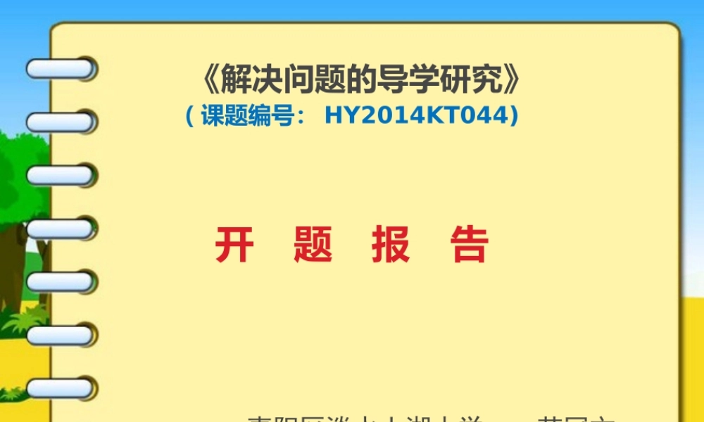 解决问题导演研究开题报告