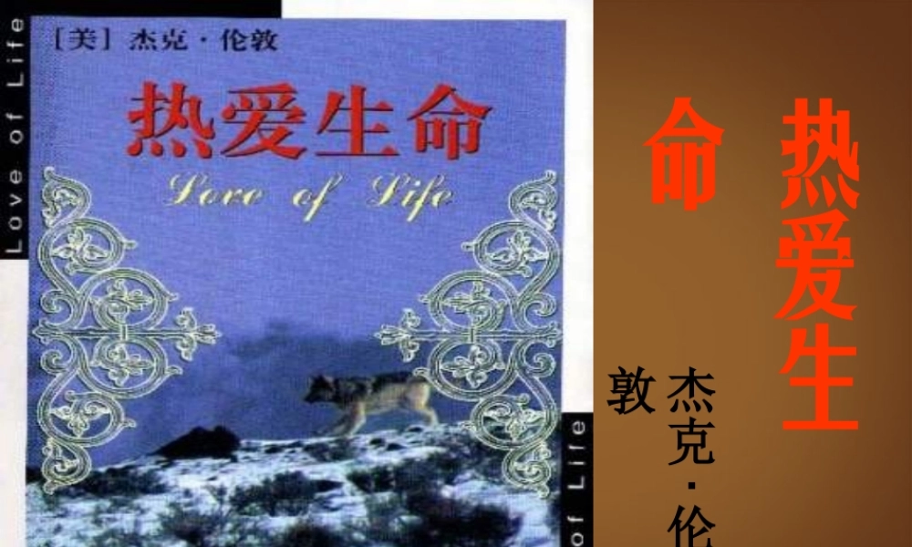 九年级语文下册(热爱生命)课件 新人教版 课件