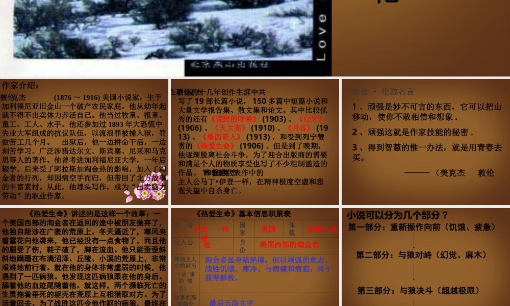 九年级语文下册(热爱生命)课件 新人教版 课件