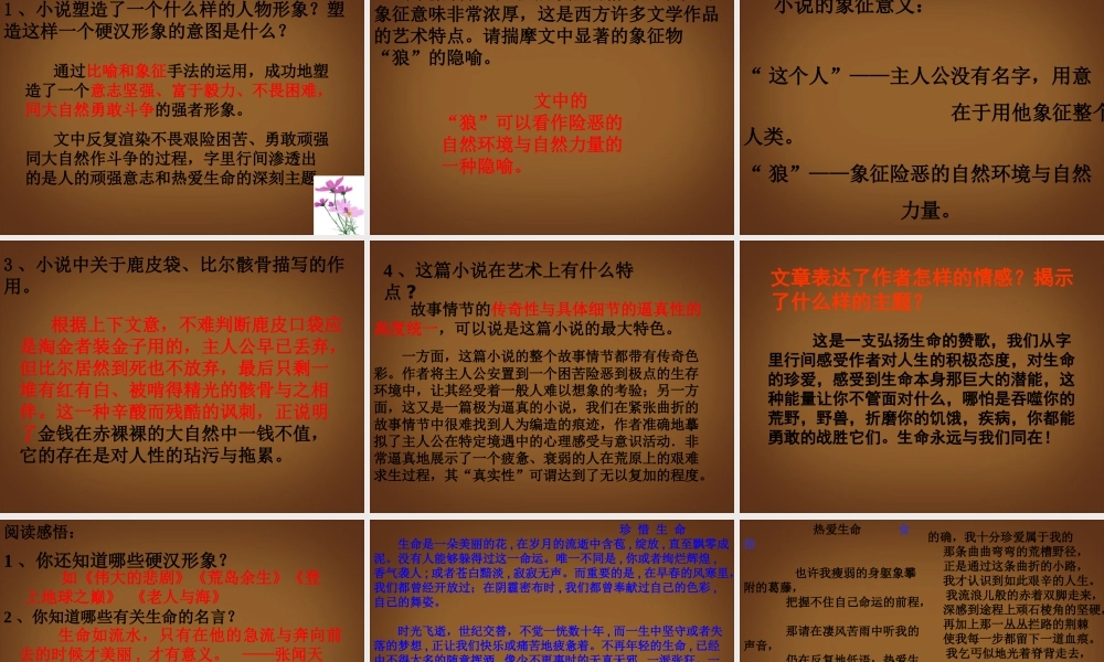 九年级语文下册(热爱生命)课件 新人教版 课件