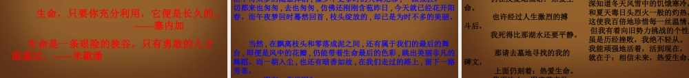 九年级语文下册(热爱生命)课件 新人教版 课件