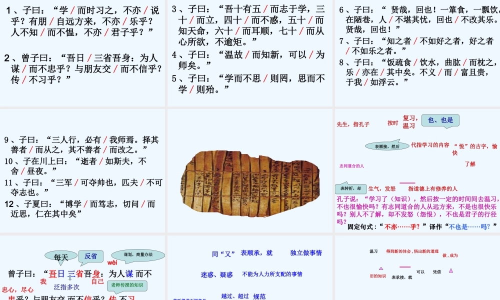 (部编)初中语文人教2011课标版七年级上册论语-(2)