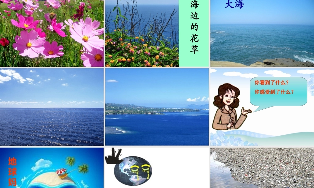 我们的大地妈妈PPT