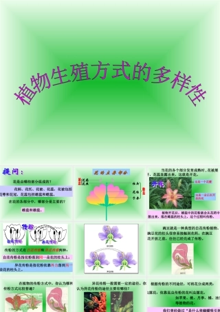七年级科学下册：第3章第6节 植物生殖方式的多样性课件3(浙教版) 课件