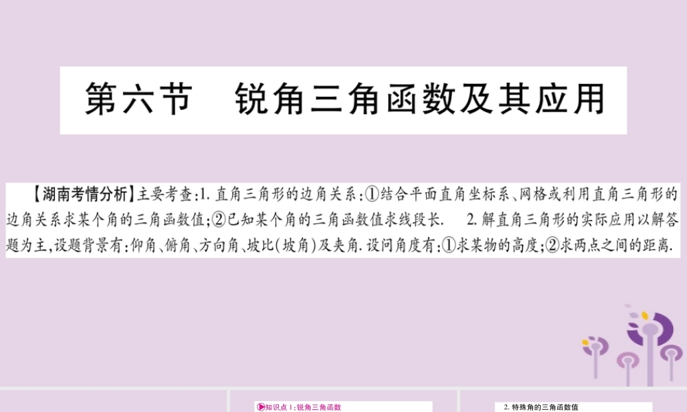 中考数学复习 第一轮 考点系统复习 第4章 三角形 第6节 锐角三角函数及其应用导学课件