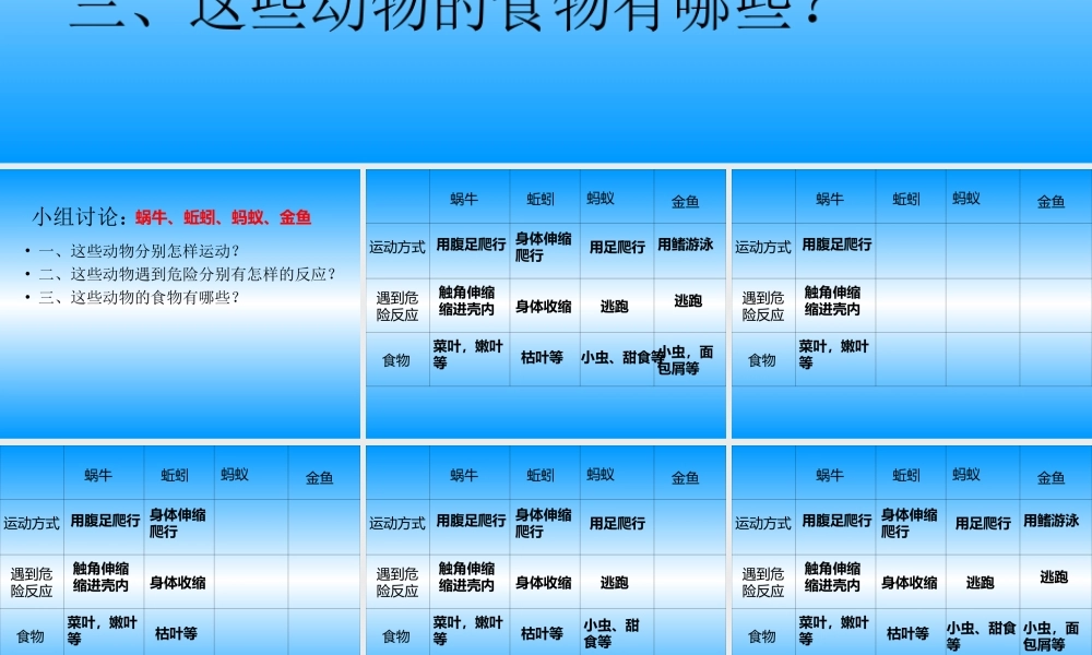 动物有哪些共同特点