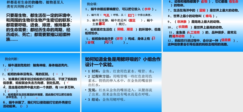 动物有哪些共同特点