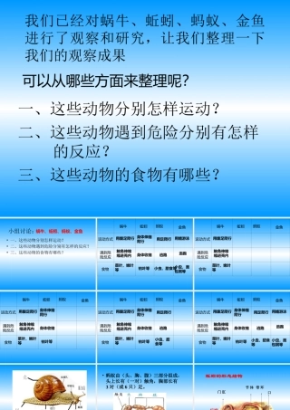 动物有哪些共同特点