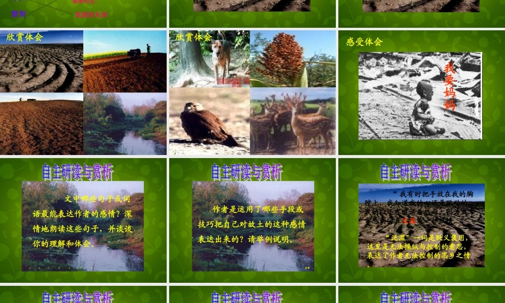 中学七年级语文下册(第9课 土地的誓言)课件 新人教版 课件