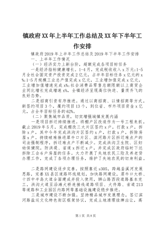 镇政府XX年上半年工作总结及XX年下半年工作安排