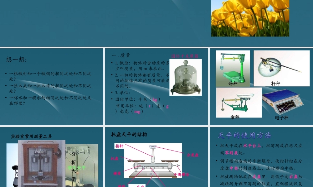 八年级物理 第一节 物质的质量课件 苏科版 课件