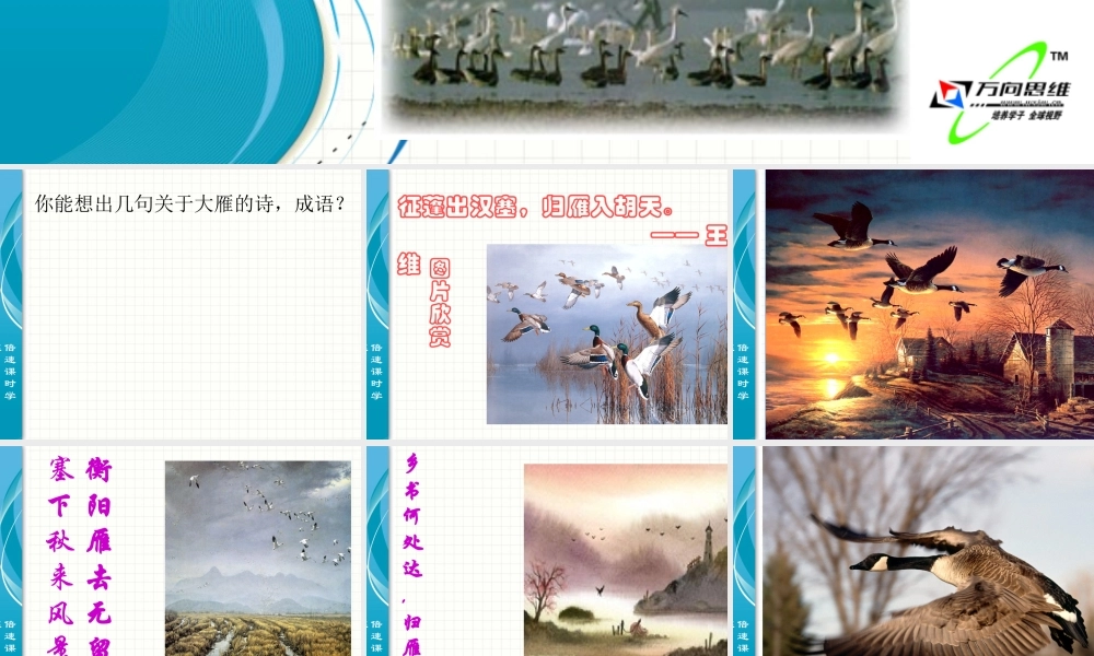 《大雁归来》课件8