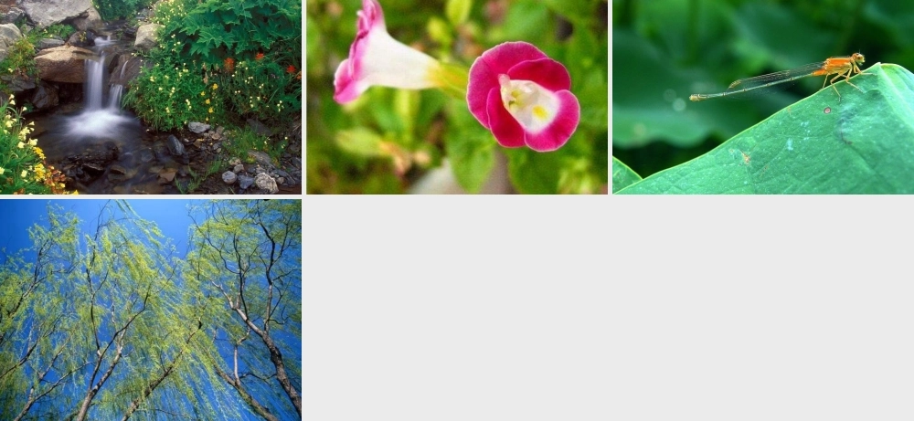 一年级上册识字1