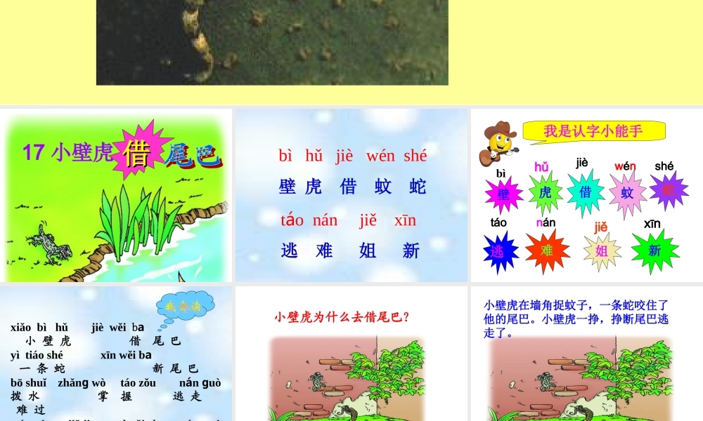 小壁虎借尾巴(1)