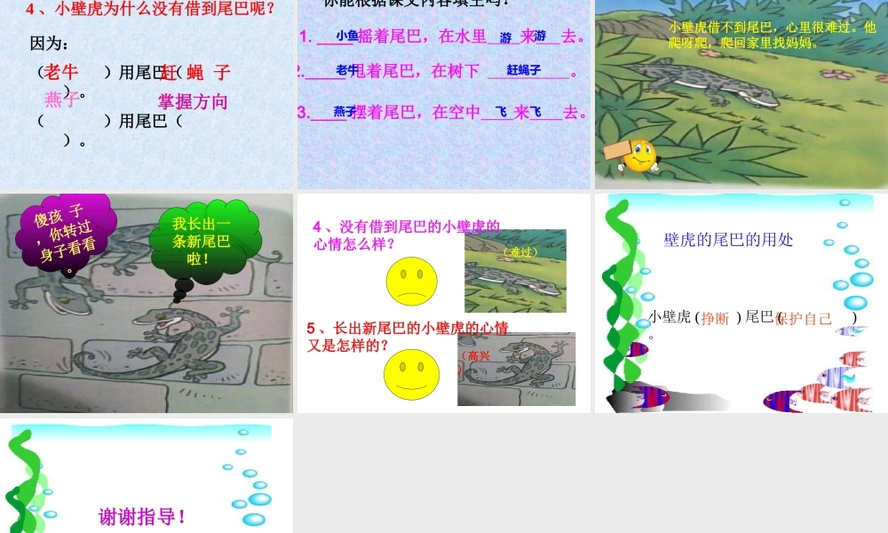 小壁虎借尾巴(1)