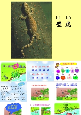 小壁虎借尾巴(1)