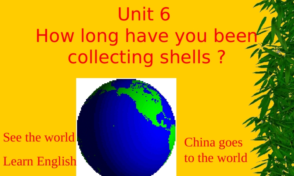 八年级英语下册 Unit How long have you been collecting shells_ section A课件人教版新目标 课件